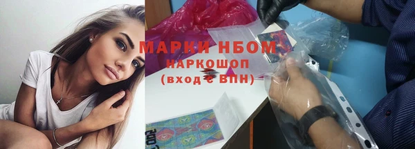 шишки Алзамай