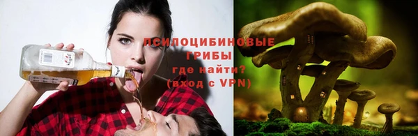 прущие крисы Алексеевка