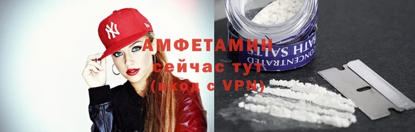 шишки Алзамай