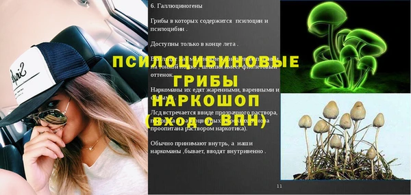шишки Алзамай