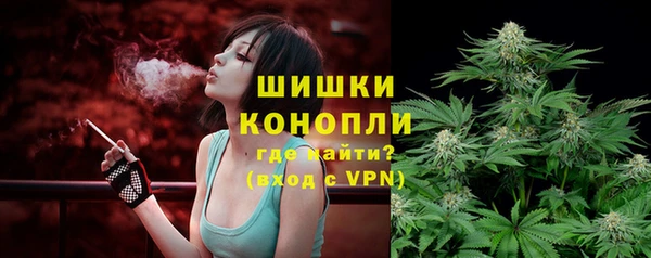 шишки Алзамай