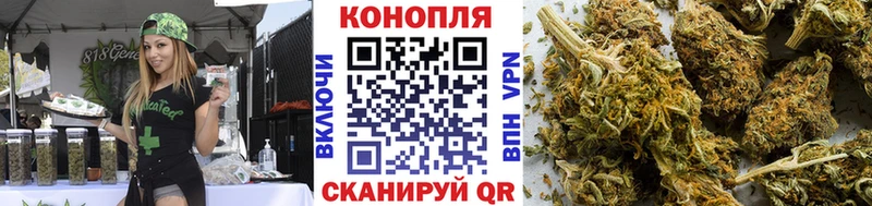 Марихуана сатива  Кемь 